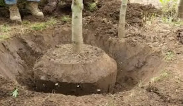 services-01